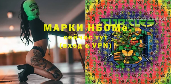 сатива Балахна